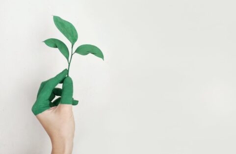 Climat: en faire une opportunité business