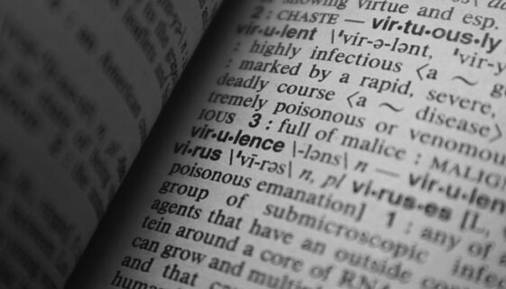 dictionnaire