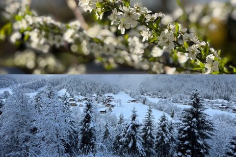 Deux salles, deux ambiances, une leçon