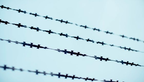 pexels-markusspiske-3806779